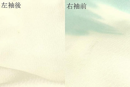平和屋着物▽訪問着　単衣　草花文　暈し染め　金彩　正絹　逸品　DABJ6014sf