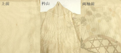 平和屋着物▽訪問着　無双　紗×紗　紗袷　風景草花文　正絹　逸品　DABJ6021sf