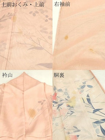 平和屋着物▽訪問着　無双　紗×絽　紗袷　枝花文　正絹　逸品　DABJ6034sf