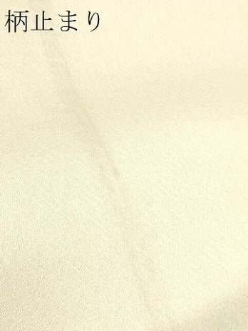 平和屋本店▼六通柄袋帯　地紙花蝶文　プラチナ24ｋ織　正絹　逸品　DABJ6377sf