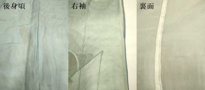 平和屋着物▽訪問着　無双　紗袷　紗×紗　鴛鴦花文　暈し染め　金彩　銀座越後屋扱い　正絹　逸品　DABJ6888du