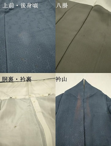 平和屋着物▼上質な色無地　動物地紋　ヒヤシンスブルー色　正絹　逸品　DABJ7347fe