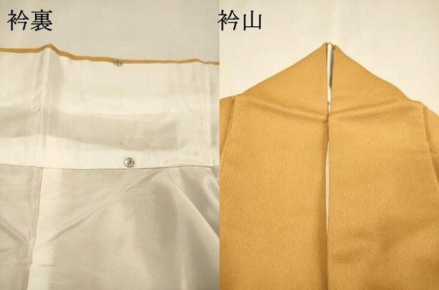 平和屋着物▼訪問着　作家物　手描き　バラ　薔薇　正絹　逸品　DABJ7763fe
