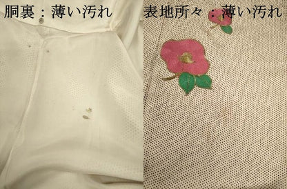平和屋着物■訪問着　駒刺繍　総刺繍　椿　金糸　正絹　逸品　DABJ9001ya