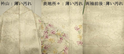 平和屋着物■訪問着　草花文　正絹　逸品　DABJ9015ya