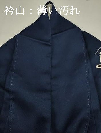 平和屋着物■訪問着　檜扇花文　正絹　逸品　DABJ9021ya
