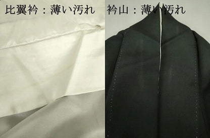 平和屋着物■豪華黒留袖　駒刺繍　檜扇吉祥花文　菊　金彩　正絹　逸品　DABJ9067ya