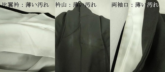 平和屋着物■豪華黒留袖　鳳凰花松文　金彩　正絹　逸品　DABJ9075ya