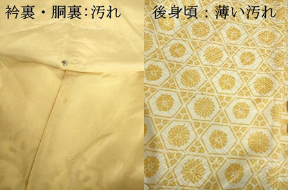 平和屋着物■豪華振袖　駒刺繍　舞花文　金彩　正絹　逸品　DABJ9099ya