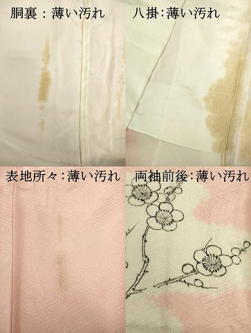 平和屋着物■訪問着　手描き　絞り　刺繍　枝梅文　正絹　逸品　DABJ9126ya