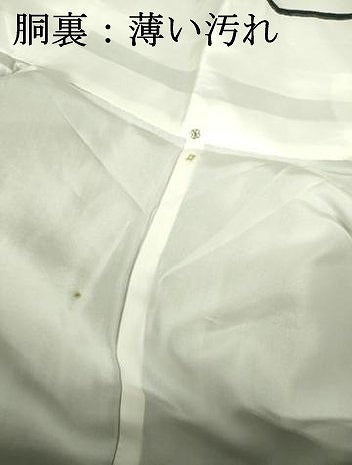 平和屋着物■上質な紬　間道　正絹　逸品　未使用　DABJ9128ya