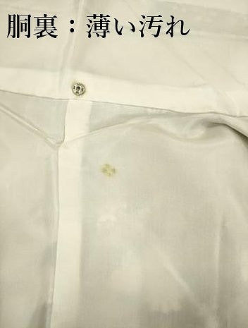 平和屋着物■上質な紬　草花文　正絹　逸品　DABJ9171ya