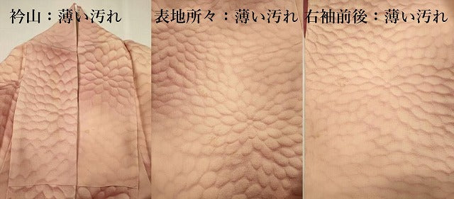 平和屋着物■上質な小紋　花尽くし　暈し染め　正絹　逸品　DABJ9203ya