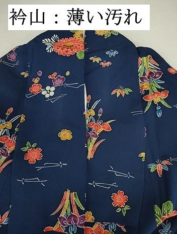 平和屋着物■上質な小紋　型染め　舞蝶花文　正絹　逸品　DABJ9214ya