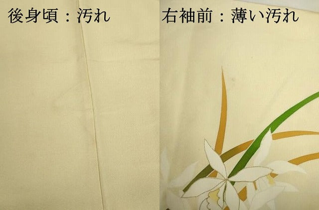 平和屋着物■訪問着　蘭　金彩　正絹　逸品　DABJ9216ya