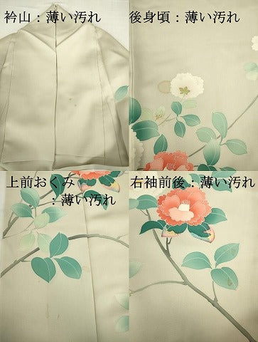平和屋着物■訪問着　友禅　枝花文　正絹　逸品　DABJ9220ya