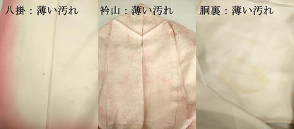 平和屋着物■訪問着　駒刺繍　枝花文　暈し染め　正絹　逸品　DABJ9229ya