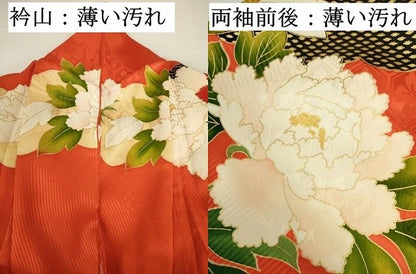 平和屋着物■豪華振袖　駒刺繍　牡丹文　金彩　正絹　逸品　DABJ9245ya