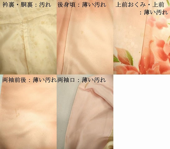 平和屋着物■訪問着　草花文　暈し染め　正絹　逸品　DABJ9246ya