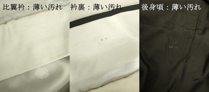 平和屋着物■豪華黒留袖　駒刺繍　地紙御所車花松文　金彩　正絹　逸品　DABJ9262ya