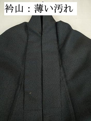 平和屋着物■男性　紬　亀甲柄　正絹　逸品　DABJ9274ya