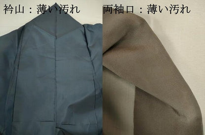 平和屋着物■本場染大島紬　色無地　舛花色　背抜き仕立て　正絹　逸品　DABJ9283ya