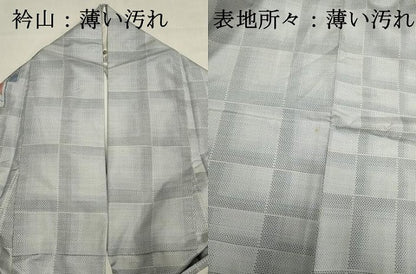 平和屋着物■本場大島紬　白大島　7マルキ　舞蝶格子文　正絹　逸品　DABJ9285ya
