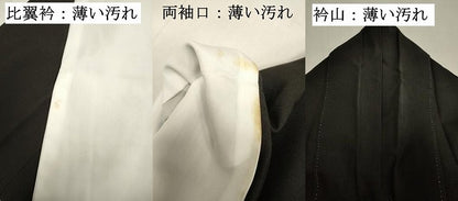 平和屋着物■豪華黒留袖　花松文　群鶴　暈し染め　金彩　正絹　逸品　DABJ9305ya