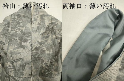 平和屋着物■上質な紬　風景文　正絹　逸品　DABJ9311ya