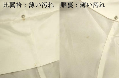 平和屋着物■豪華色留袖　飛鶴花文　牡丹　正絹　逸品　DABJ9321ya