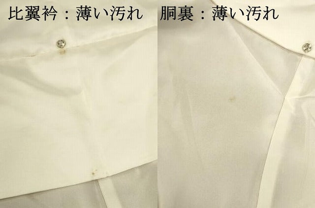平和屋着物■豪華色留袖　飛鶴花文　牡丹　正絹　逸品　DABJ9321ya