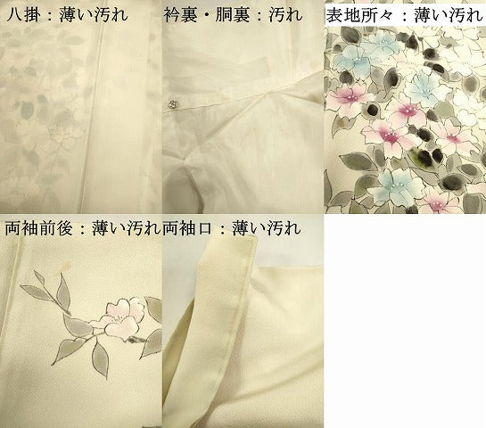 平和屋着物■訪問着　手描き　枝花文　正絹　逸品　DABJ9331ya