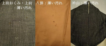 平和屋着物■上質な紬　間道　正絹　逸品　DABJ9338ya
