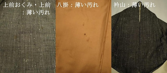 平和屋着物■上質な紬　間道　正絹　逸品　DABJ9338ya