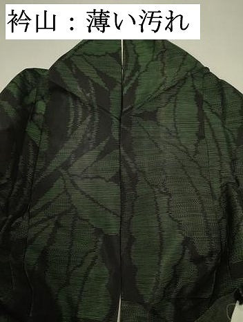 平和屋着物■本場大島紬　葉尽くし　正絹　逸品　DABJ9341ya