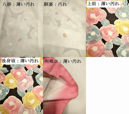 平和屋着物■上質な小紋　薔薇尽くし　バラ　黒地　正絹　逸品　DABJ9357ya