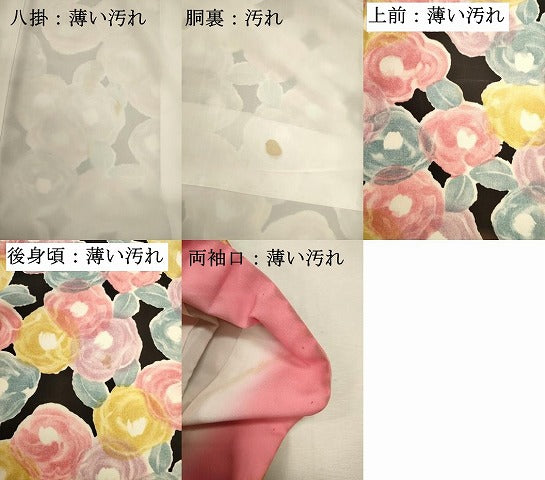 平和屋着物■上質な小紋　薔薇尽くし　バラ　黒地　正絹　逸品　DABJ9357ya