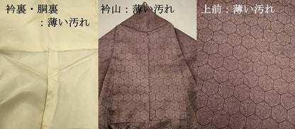 平和屋着物■江戸小紋　亀甲花尽くし文　田中未治郎　正絹　逸品　DABJ9368ya