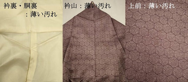 平和屋着物■江戸小紋　亀甲花尽くし文　田中未治郎　正絹　逸品　DABJ9368ya