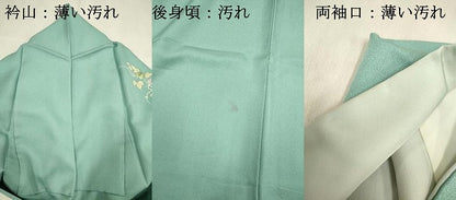 平和屋着物■訪問着　飾花文　暈し染め　正絹　逸品　DABJ9384ya