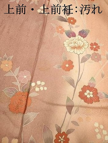 平和屋着物■訪問着　枝花文　暈し染め　金彩　正絹　逸品　DABJ9390ya