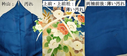 平和屋着物■訪問着　草花文　暈し染め　金彩　正絹　逸品　DABJ9393ya