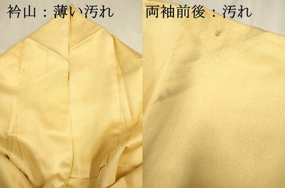 平和屋着物■訪問着　抽象花文　暈し染め　金彩　正絹　逸品　DABJ9402ya