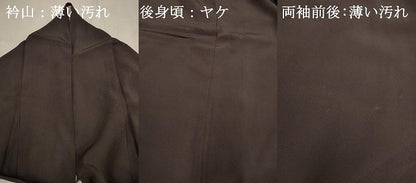 平和屋着物■訪問着　寿光織　色紙風景文　金糸　正絹　逸品　DABJ9404ya