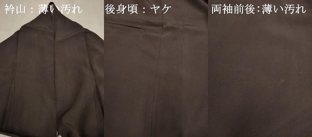 平和屋着物■訪問着　寿光織　色紙風景文　金糸　正絹　逸品　DABJ9404ya
