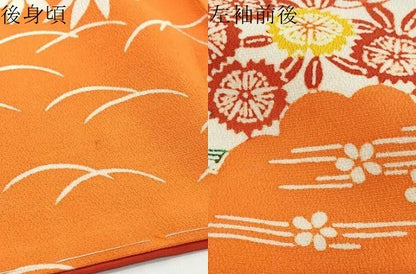 平和屋着物●訪問着　型染め　風景草花文　正絹　逸品　DABK0002ud