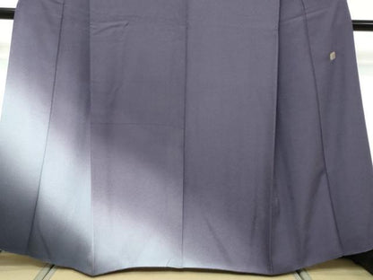 平和屋着物●訪問着　水晶染　霞文　暈し染め　正絹　逸品　DABK0004ud