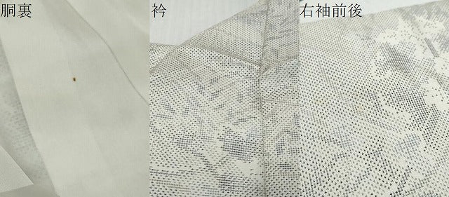 平和屋着物●本場大島紬　白大島　枝花文　正絹　逸品　DABK0028ud