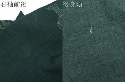 平和屋着物●本場結城紬　重要無形文化財　100亀甲　陶器文　証紙付き　正絹　逸品　DABK0207ud
