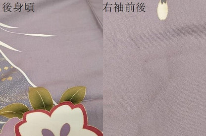 平和屋着物●豪華振袖　片輪車草花文　金彩　正絹　逸品　DABK0431ud